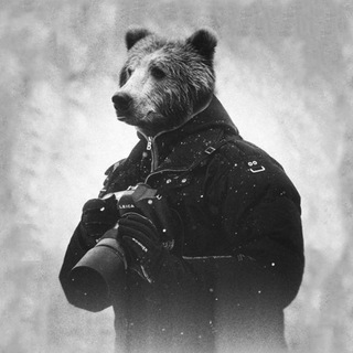 Telegram profile photo for Дальневосточный репортаж
