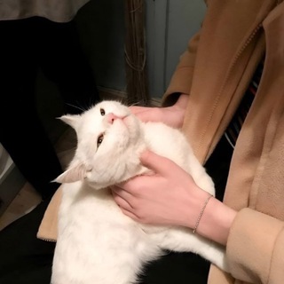 Telegram profile photo for 𝖬𝖺𝗒𝖻𝖾 𝖶𝖾
