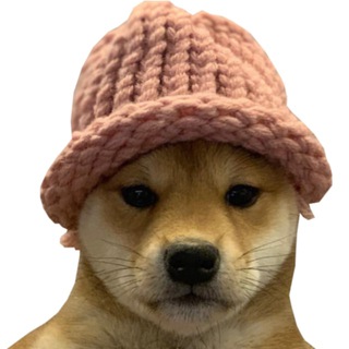 Telegram profile photo for Versuta