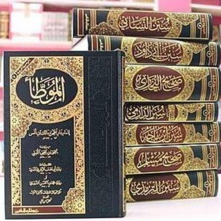 Telegram profile photo for عِلْمَا التَفسيرِ و الحديث
