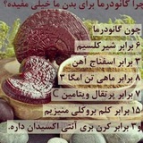Telegram profile photo for معجزه سلامتی