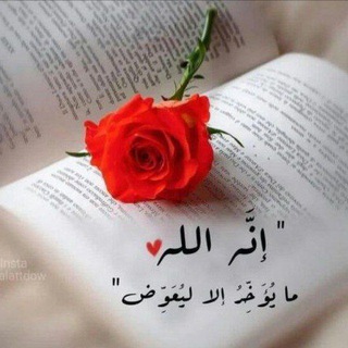 Telegram profile photo for يجمعنا هدف واحد وغاية واحدة هي رضوان الله🌿