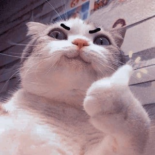 Telegram profile photo for Seemlay vlog🐾