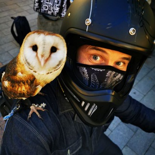 Telegram profile photo for Добрыня Владивосток
