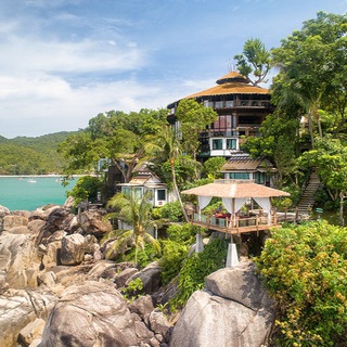 Telegram profile photo for R4F_Koh_Phangan