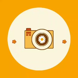 Telegram profile photo for Realme 3 Pro •||• Gcam •||• Photography