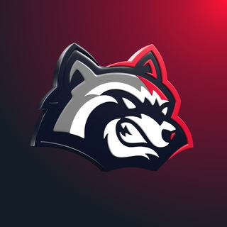 Telegram profile photo for BetFury LATAM Official