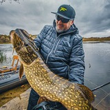 Telegram profile photo for 𝕨𝕨𝕨𝕒𝕣𝕛𝕒𝕘 🎣