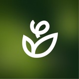 Telegram profile photo for GreenUniverMos