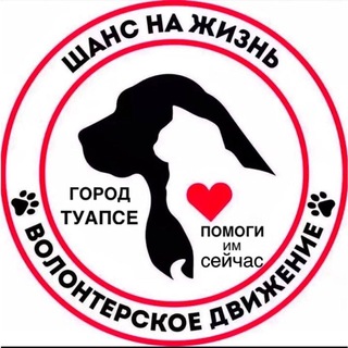 Telegram group profile photo for Туапсе. Помощь животным, пострадавшим в результате ЧС