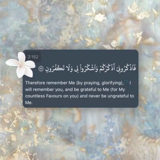 Telegram profile photo for القرآن الكريم