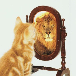 Telegram profile photo for МЕ́ТТАморфоз | 🫀
