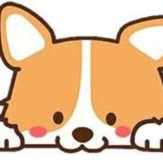 Telegram profile photo for Safe Baby Shiba Notification