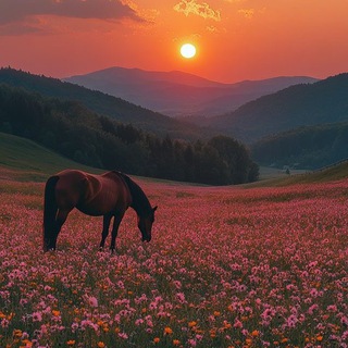 Telegram profile photo for КСК «Дикая Дивизия»🐴