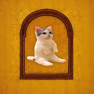 Telegram profile photo for высеры афса