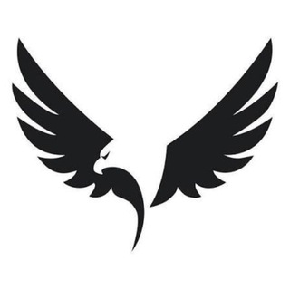 Telegram profile photo for VO VIEW 🕶️