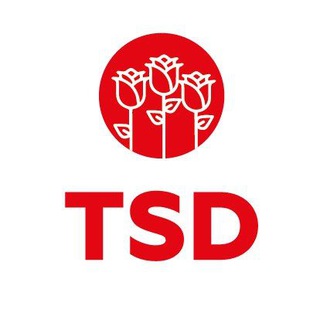 Telegram profile photo for TSD
