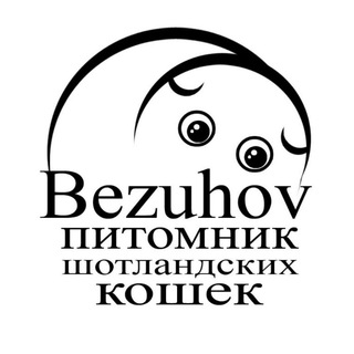 Telegram profile photo for БЕЗУХОВ Тверь коты