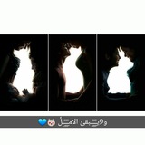 Telegram profile photo for و୭يـۣۛـۣۛـۣۛـبقئ الامـۣۛـۣۛـۣۛـلٍّ💚➺hopεٌْ remainsٌ⇣||✨
