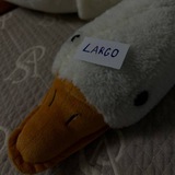 Telegram profile photo for ʙɪᴏ ʟᴀʀɢᴏ
