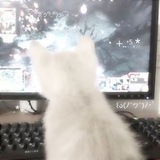 Telegram profile photo for ┊༄чайный домик еши!