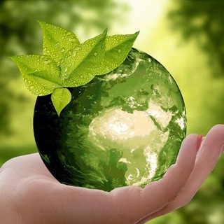 Telegram profile photo for Welt unserer Natur
