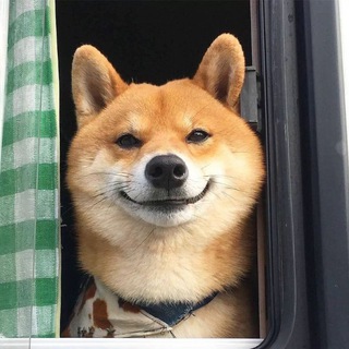 Telegram profile photo for 缅北精英