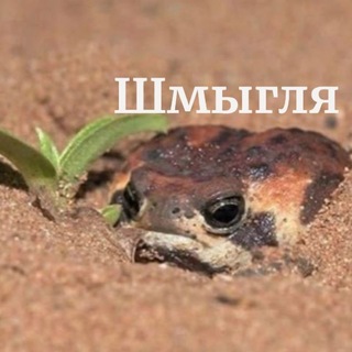 Telegram profile photo for Безработная клячка и Саймон || щп