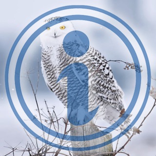 Telegram profile photo for 🌳🦉Инфо от Совы (ЖК Измайловский лес)