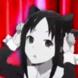 Telegram profile photo for Anifondos