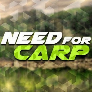 Telegram profile photo for Need for Carp NFC