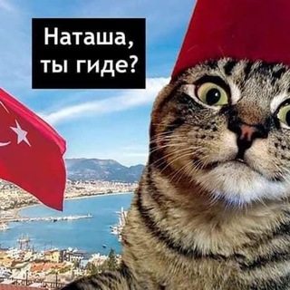 Telegram profile photo for МГ беседа