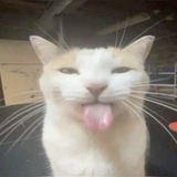 Telegram profile photo for iih takutnyo