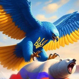 Telegram profile photo for Реальная Война