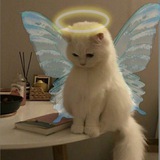 Telegram profile photo for 𖣂 P A N I