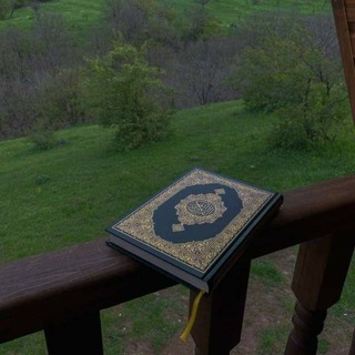 Telegram profile photo for "ركني الأجمل"