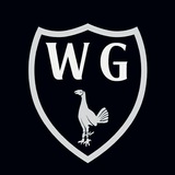Telegram profile photo for Tottenham Hotspur • News