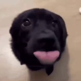 Telegram profile photo for Никит... Это же-