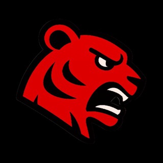 Telegram group profile photo for RedTiger Help