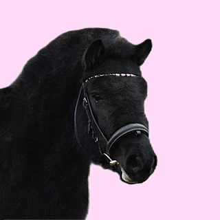 Telegram profile photo for пониблог Маруси
