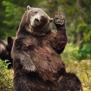 Telegram profile photo for Amazing World Pictures 📸