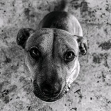 Telegram profile photo for Ma F**ckin' Thought
