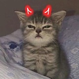 Telegram profile photo for а может