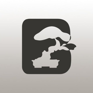 Telegram profile photo for Bonsa.by_Студия Бонсай (Беларусь)