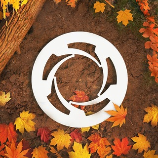Telegram profile photo for КАЛИБР официальный канал