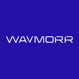 Telegram profile photo for WAYMORR (ex - X100 COMPANY)
