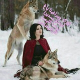 Telegram profile photo for Ana dilim türkcə