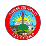 Telegram profile photo for Borena university
