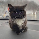 Telegram profile photo for meme 2/0?