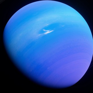 Telegram profile photo for 基地-Foundation